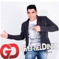 Gabriel Diniz & Forr na Farra 